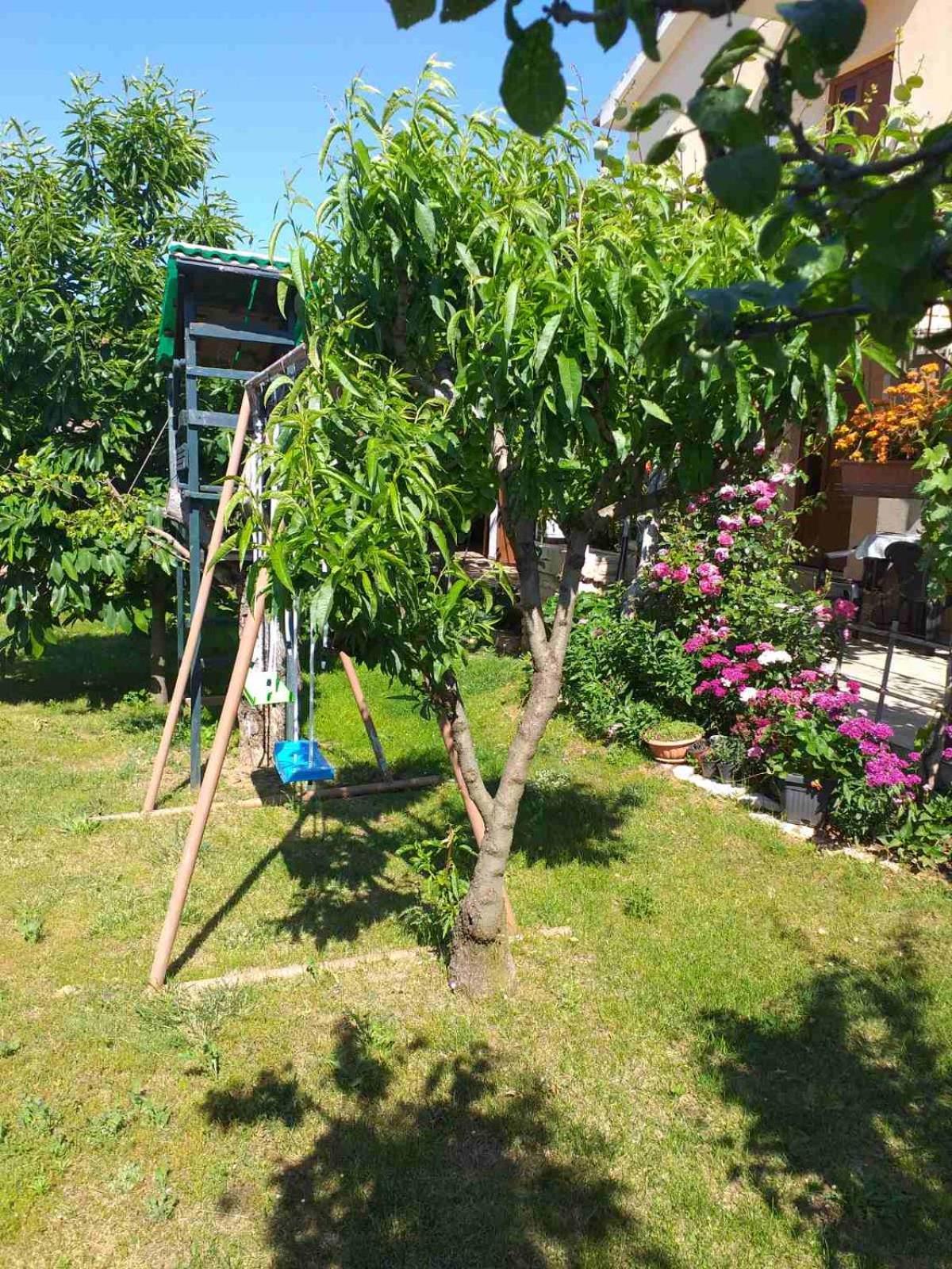 Apartmán Lori Pula